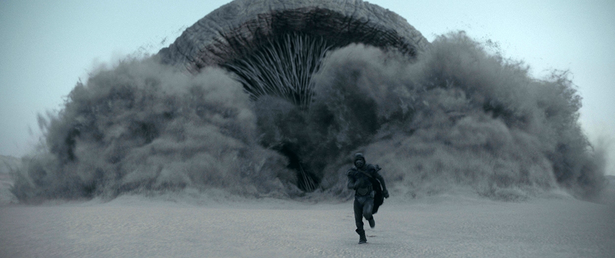 The Sand Worms image