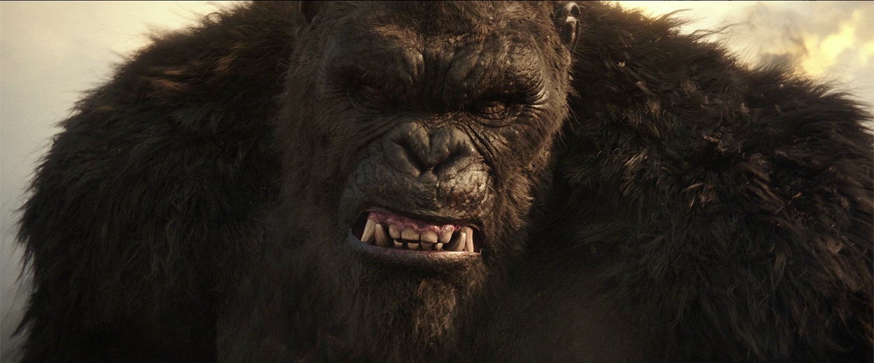 Kong’s Comin’ image